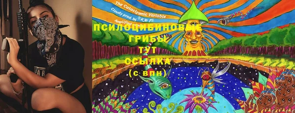 ECSTASY Инта