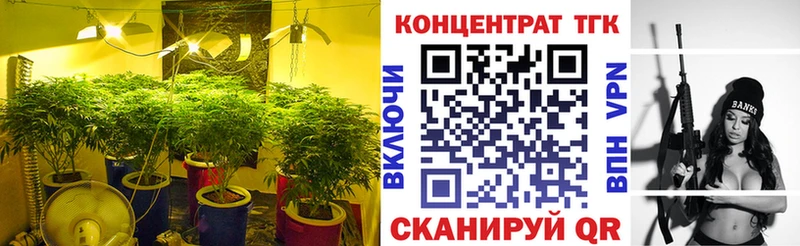 ТГК THC oil  Купить закладки  Краснознаменск 