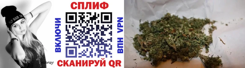 Купить где  Краснознаменск  Конопля марихуана 